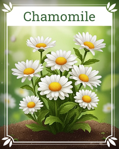 Chamomile Healing Herbs Badge