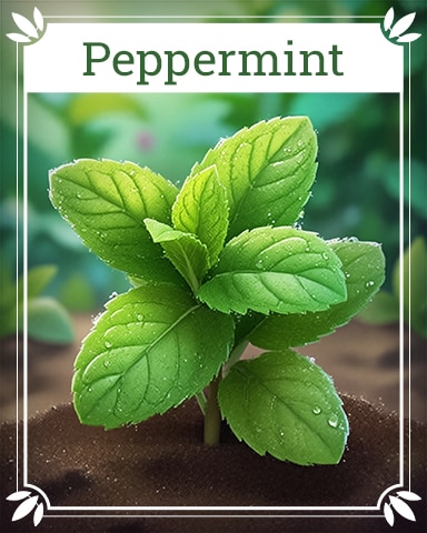 Peppermint Healing Herbs Badge