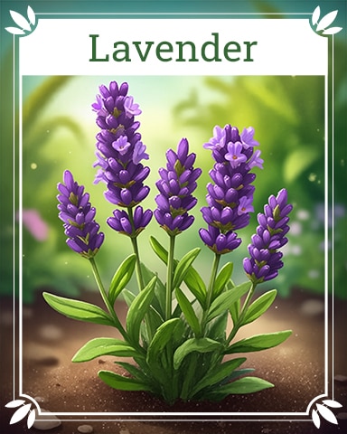 Lavender Healing Herbs Badge