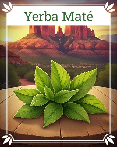 Pogo Yerba Mate Healing Herbs Badge