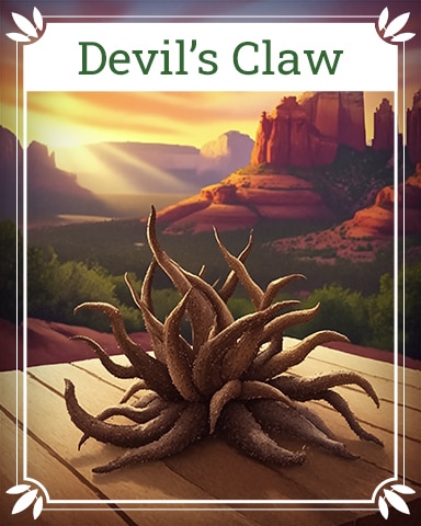 Pogo Devils Claw Healing Herbs Badge