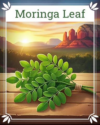 Pogo Moringa Leaf Healing Herbs Badge