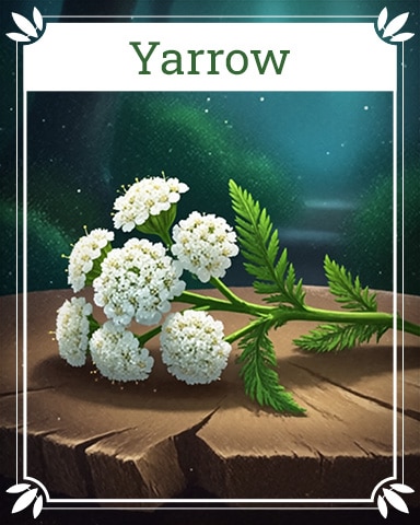 Pogo Yarrow Healing Herbs Badge