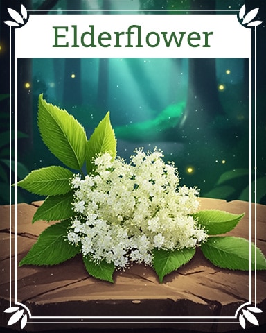 Pogo Elderflower Healing Herbs Badge