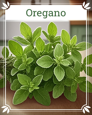 Pogo Oregano Healing Herbs Badge