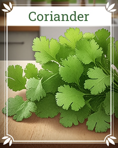 Pogo Coriander Healing Herbs Badge