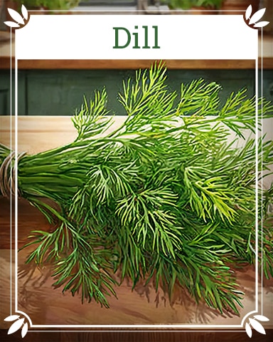 Pogo Dill Healing Herbs Badge