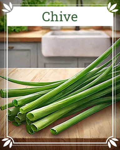 Pogo Chive Healing Herbs Badge