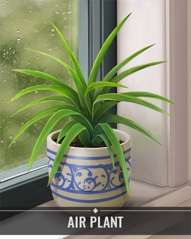 Pogo Jungle Gin HD Air Plant Houseplants Badge