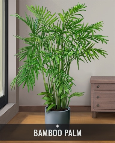Pogo Snowbird Solitaire Bamboo Palm Houseplants Badge