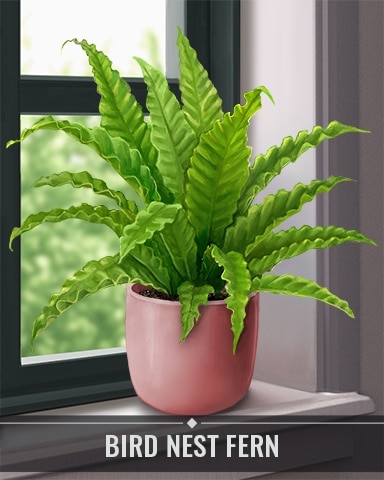 Pogo Mahjong Safari HD Bird Nest Fern Houseplants Badge