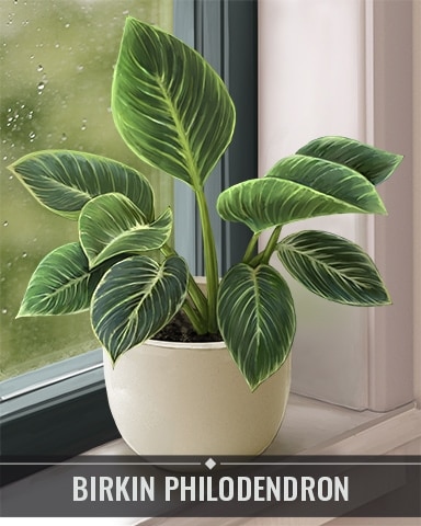 Pogo Mahjong Garden HD Birkin Philodendron Houseplants Badge