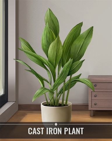 Pogo Mahjong Safari HD Cast Iron Plant Houseplants Badge