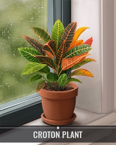 Pogo Tri-Peaks Solitaire HD Croton Plant Houseplants Badge