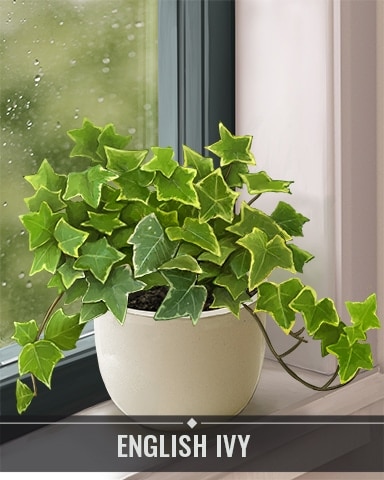 Pogo Mahjong Sanctuary English Ivy Houseplants Badge