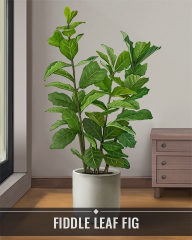 Pogo Jet Set Solitaire Fiddle Leaf Fig Houseplants Badge