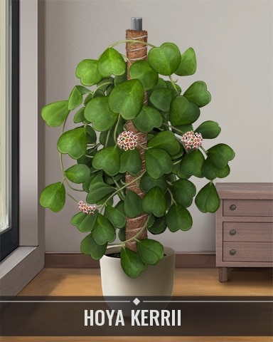 Pogo Mahjong Safari HD Hoya Kerrii Houseplants Badge