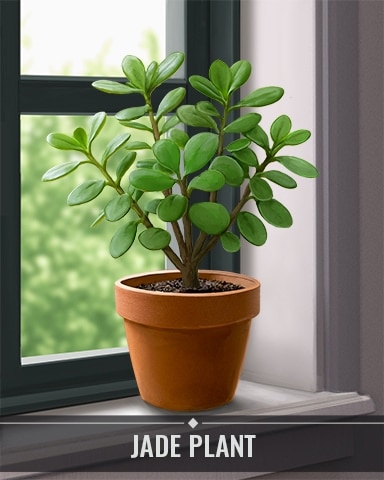Pogo Jungle Gin HD Jade Plant Houseplants Badge