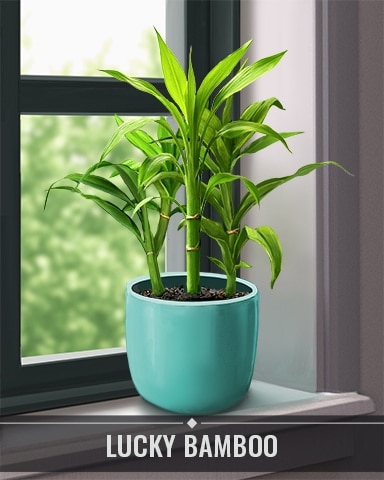 Pogo Mahjong Garden HD Lucky Bamboo Houseplants Badge