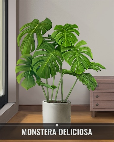 Monstera Deliciosa Houseplants Badge - Lucky Cat Bingo