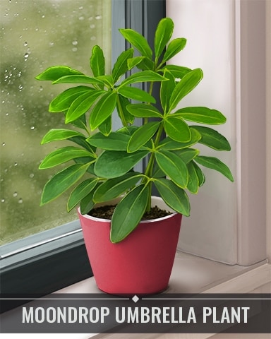 Moondrop Umbrella Plant Houseplants Badge - Matching Moments