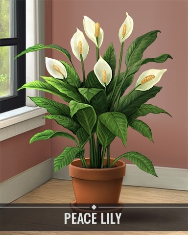 Pogo Tri-Peaks Solitaire HD Peace Lily Houseplants Badge