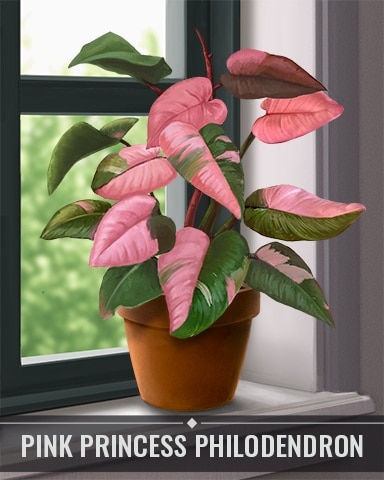 Pogo Solitaire Home Story Pink Princess Philodendron Houseplants Badge