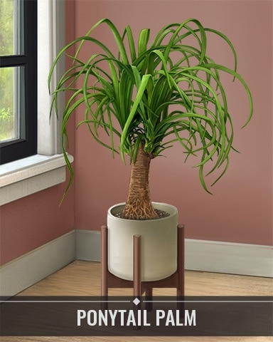 Pogo Slots Ponytail Palm Houseplants Badge