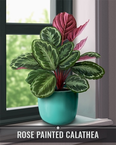 Pogo MONOPOLY Sudoku Rose Painted Calathea Houseplants Badge