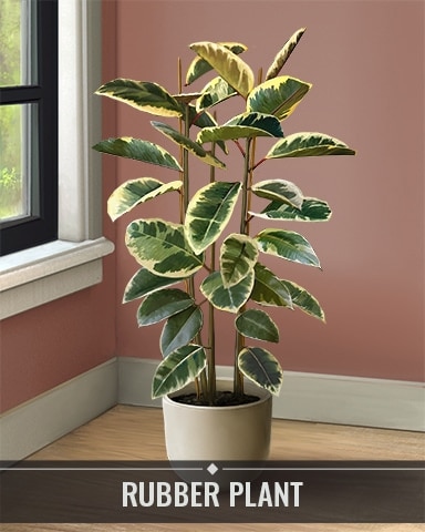 Pogo Thousand Island Solitaire HD Rubber Plant Houseplants Badge