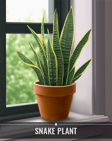 Pogo Bookworm HD Snake Plant Houseplants Badge