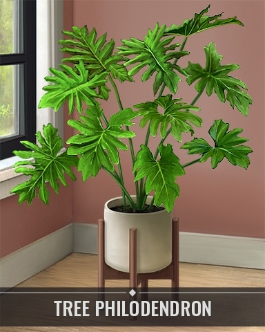 Pogo Bejeweled Stars Tree Philodendron Houseplants Badge