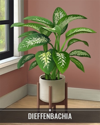 Pogo Jigsaw Treasure Hunter HD Dieffenbachia Houseplants Badge