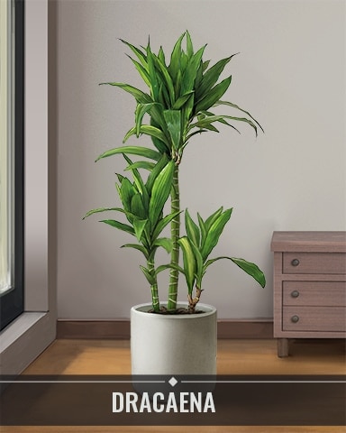 Pogo MONOPOLY Sudoku Dracaena Houseplants Badge