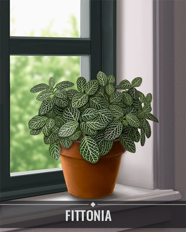 Pogo Snowbird Solitaire Fittonia Houseplants Badge