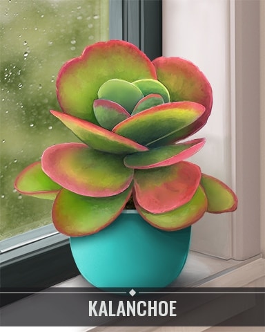 Pogo Slots Kalanchoe Houseplants Badge
