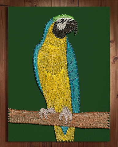 World Class Solitaire HD Macaws Nail and String Art Badge