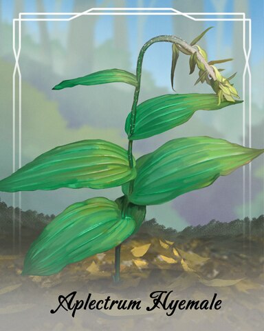 Mahjong Garden HD Aplectrum Hyemale Orchid Badge