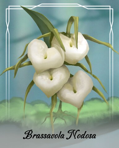 Spades HD Brassavola Nodosa Orchid Badge