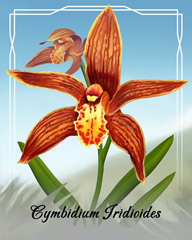 Mahjong Safari HD Cymbidium Iridioides Orchid Badge