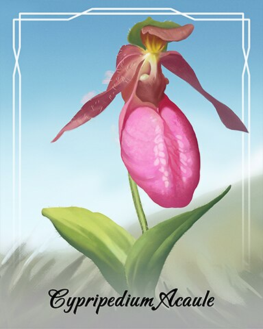 Mahjong Sanctuary Cypripedium Acaule Orchid Badge