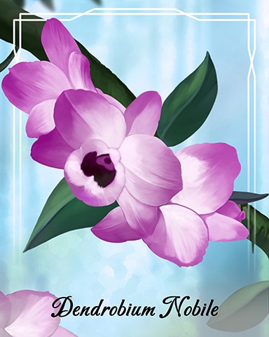 World Class Solitaire HD Dendrobium Nobile Orchid Badge