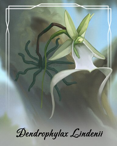 Word Search Daily HD Dendrophylax Lindenii Orchid Badge