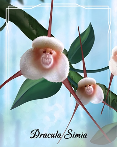 Pogo Slots Dracula Simia Orchid Badge