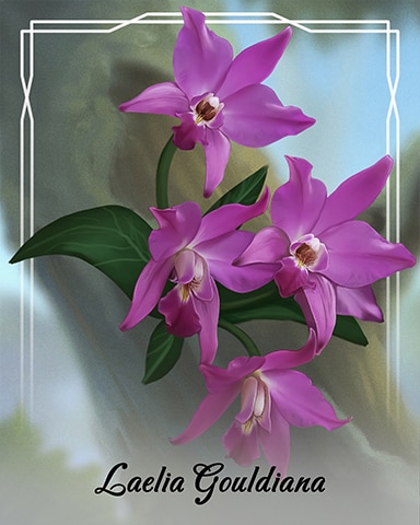Tri-Peaks Solitaire HD Laelia Gouldiana Orchid Badge
