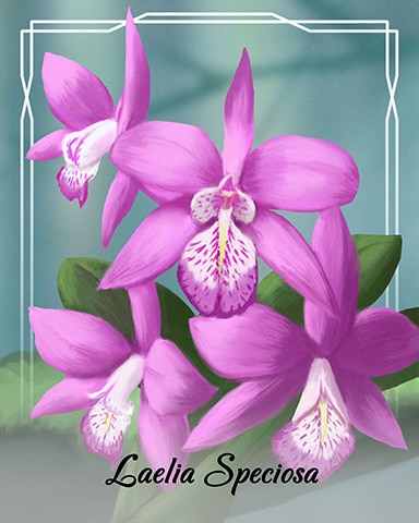 Dice City Roller HD Laelia Speciosa Orchid Badge