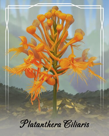Tri-Peaks Solitaire HD Platanthera Ciliaris Orchid Badge
