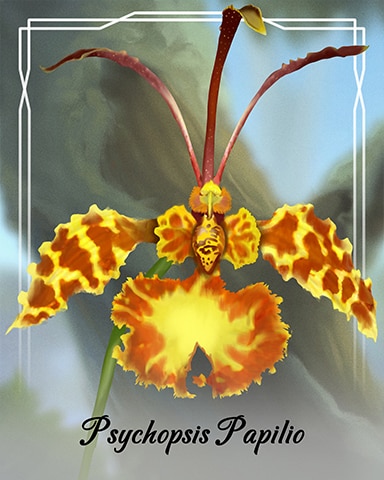 Word Whomp HD Psychopsis Papilio Orchid Badge