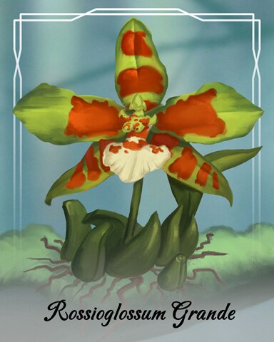 Mahjong Safari HD Rossioglossum Grande Orchid Badge