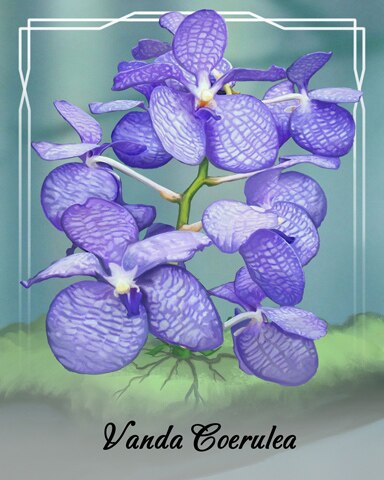 Word Whomp HD Vanda Coerulea Orchid Badge